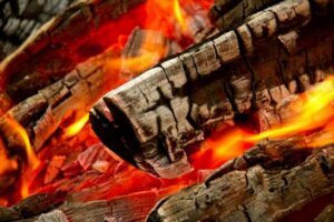 Lire la suite à propos de l’article Comment utiliser la cendre de bois dans le jardin ?